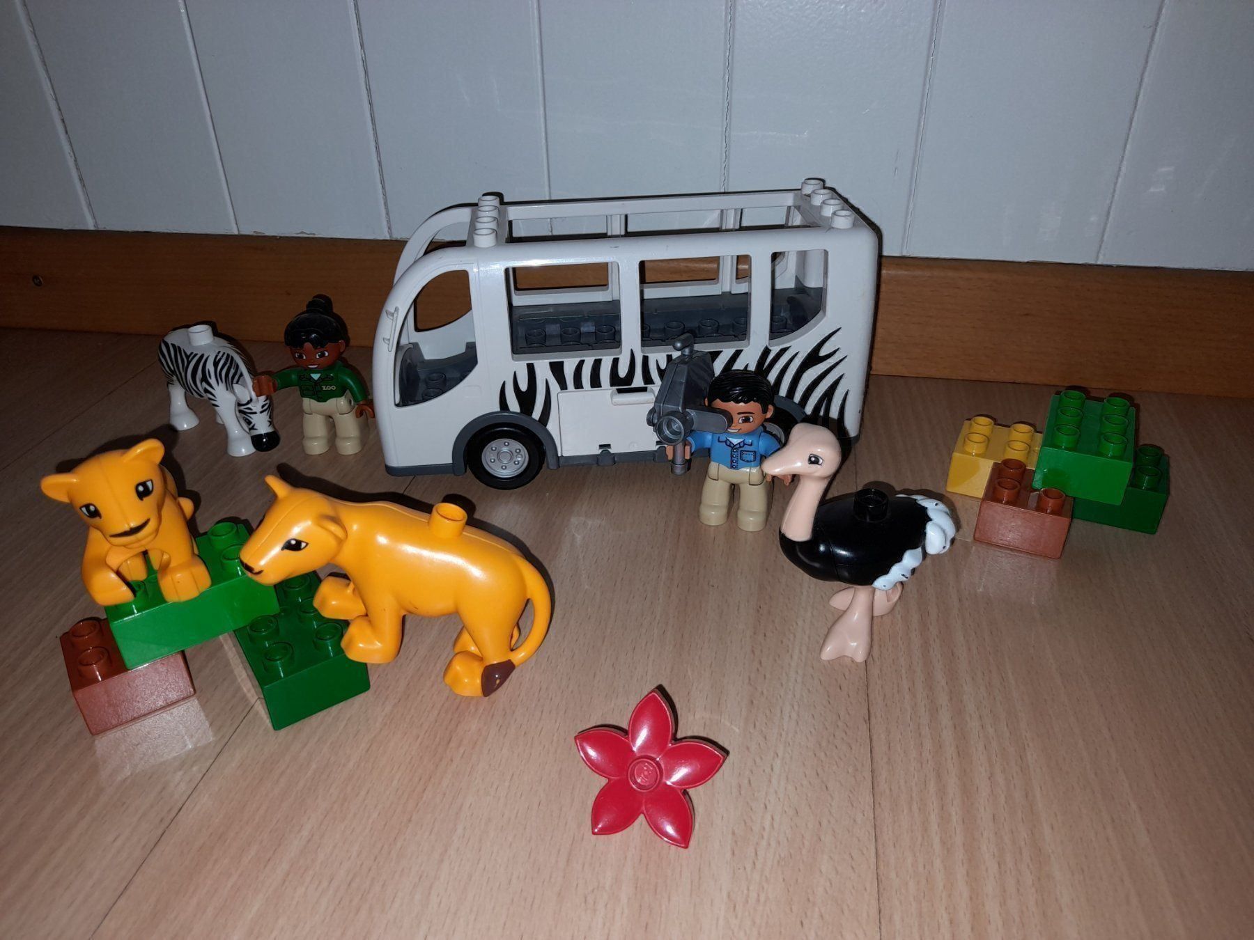 Lego Giocattoli: Lego Duplo Safari Bus 10502 – Usato da Wittenbach venduto da Gugielmo 1