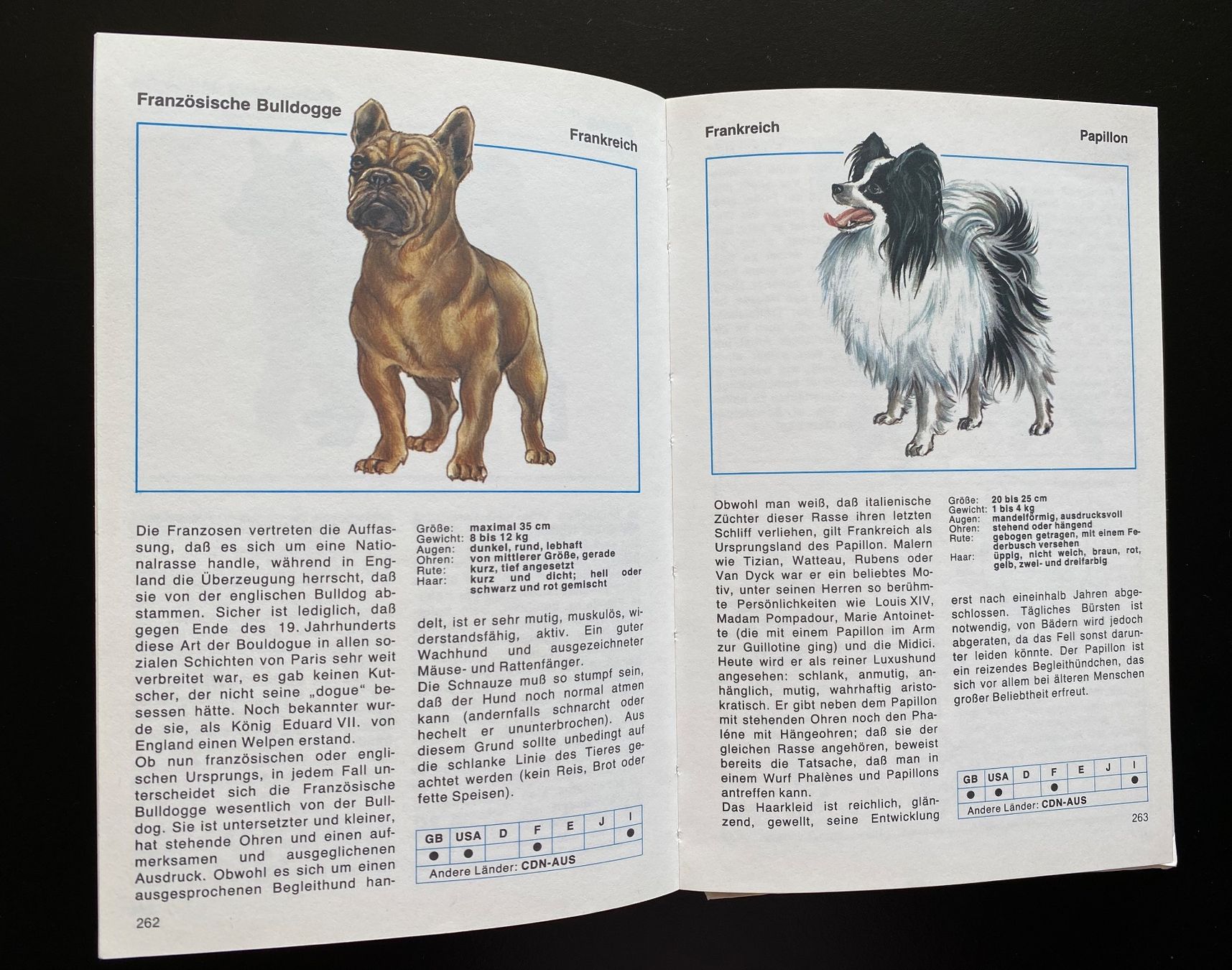 Libri: HUNDE LEXIKON – Usato da Nussbaumen AG venduto da schuba2000 3