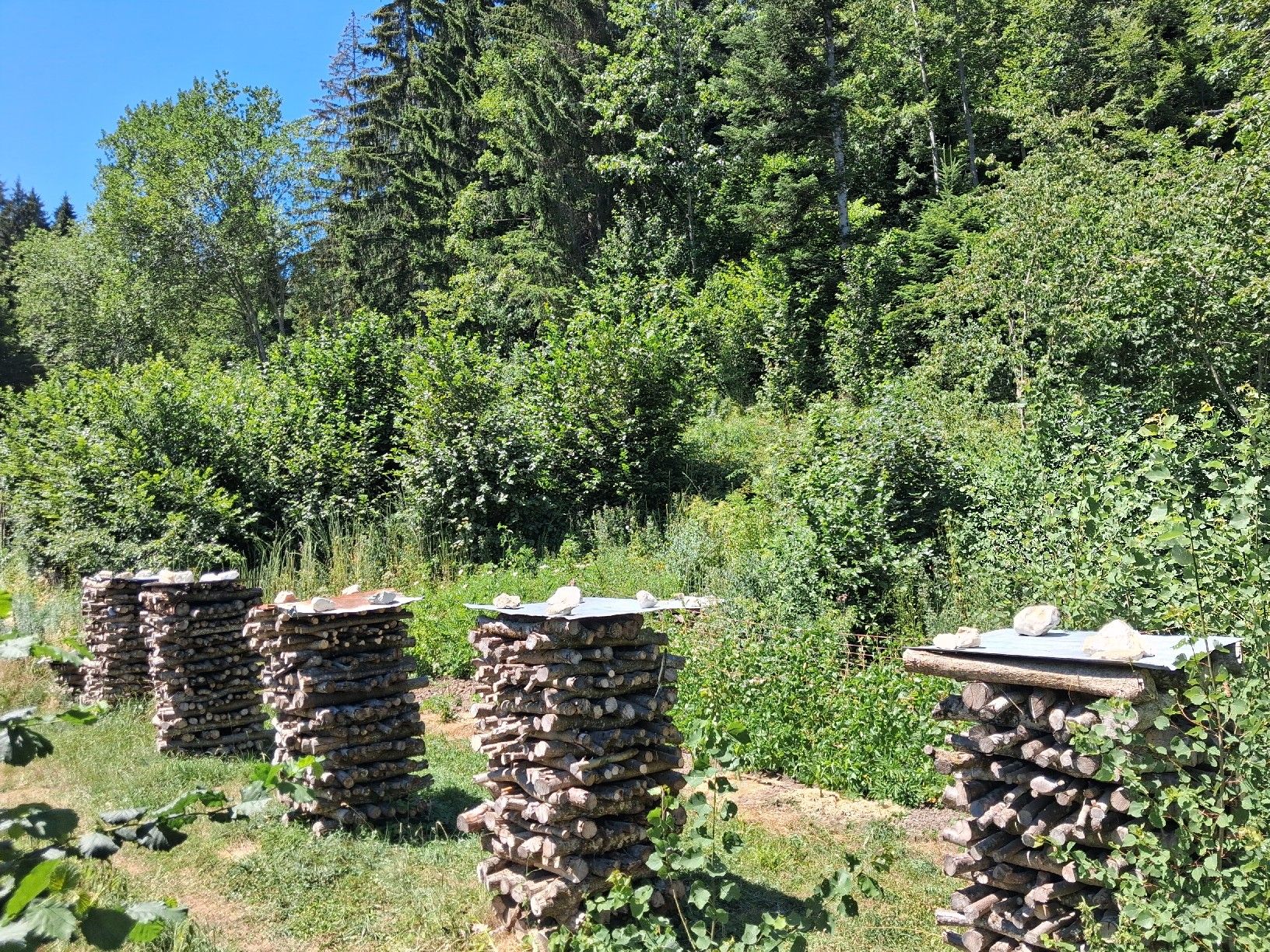 Articles en bois: Brennholz Hasel – Neuf (Voir description) à Herbetswil par ber_2kgk 3