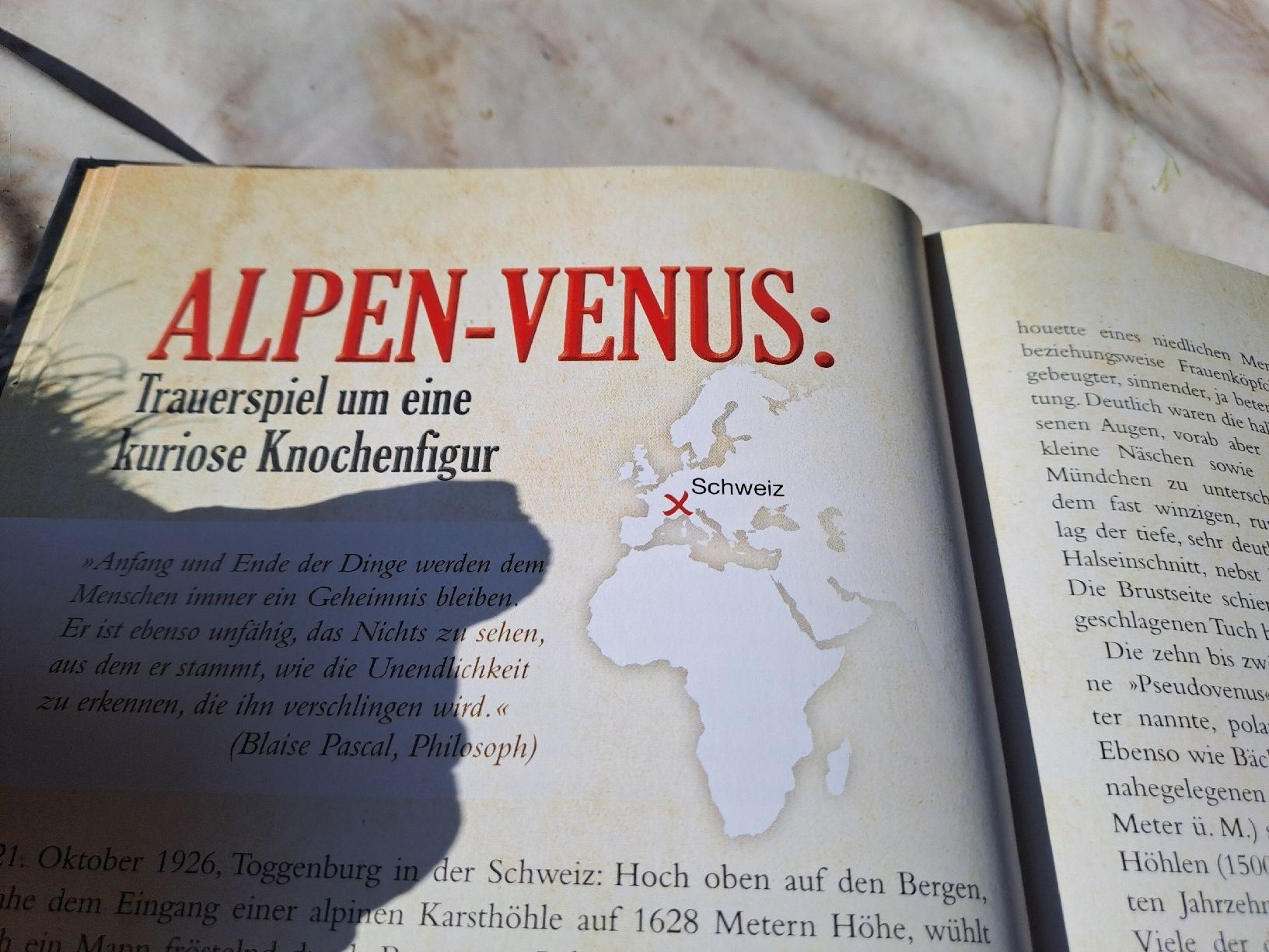 Libri: Lexikon der verbotenen Archäologie – Usato da Zürich venduto da Schoebi19 5