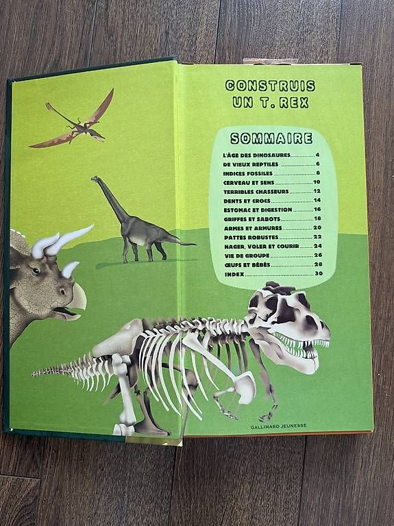 Libri: Maquette à construire du T Rex 75cm – Usato da Lausanne venduto da nat_h2gw 3