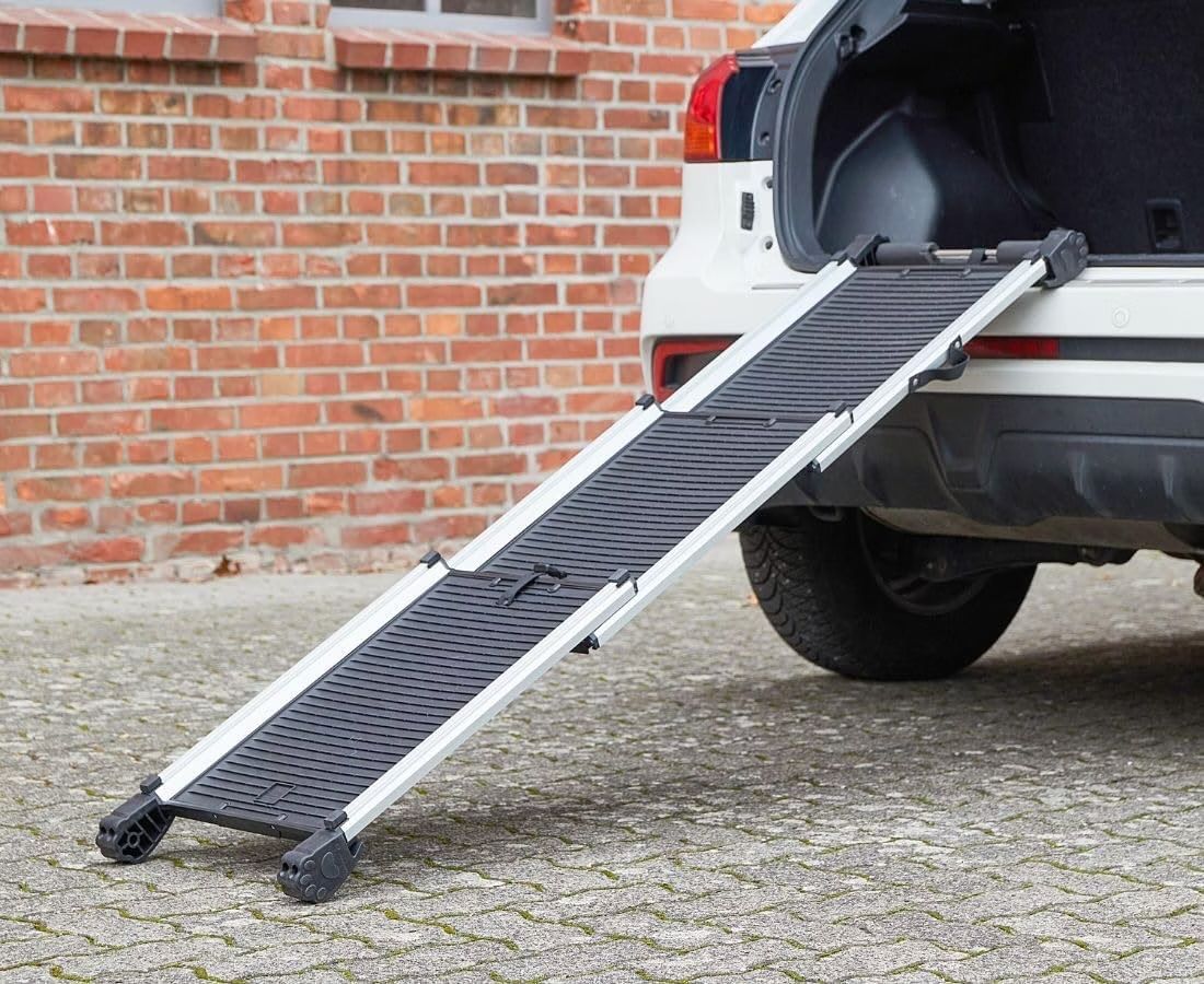 Gabbie, trasporto & Sicurezza: Auto Hunderampe – Usato da Büsingen venduto da cb-56