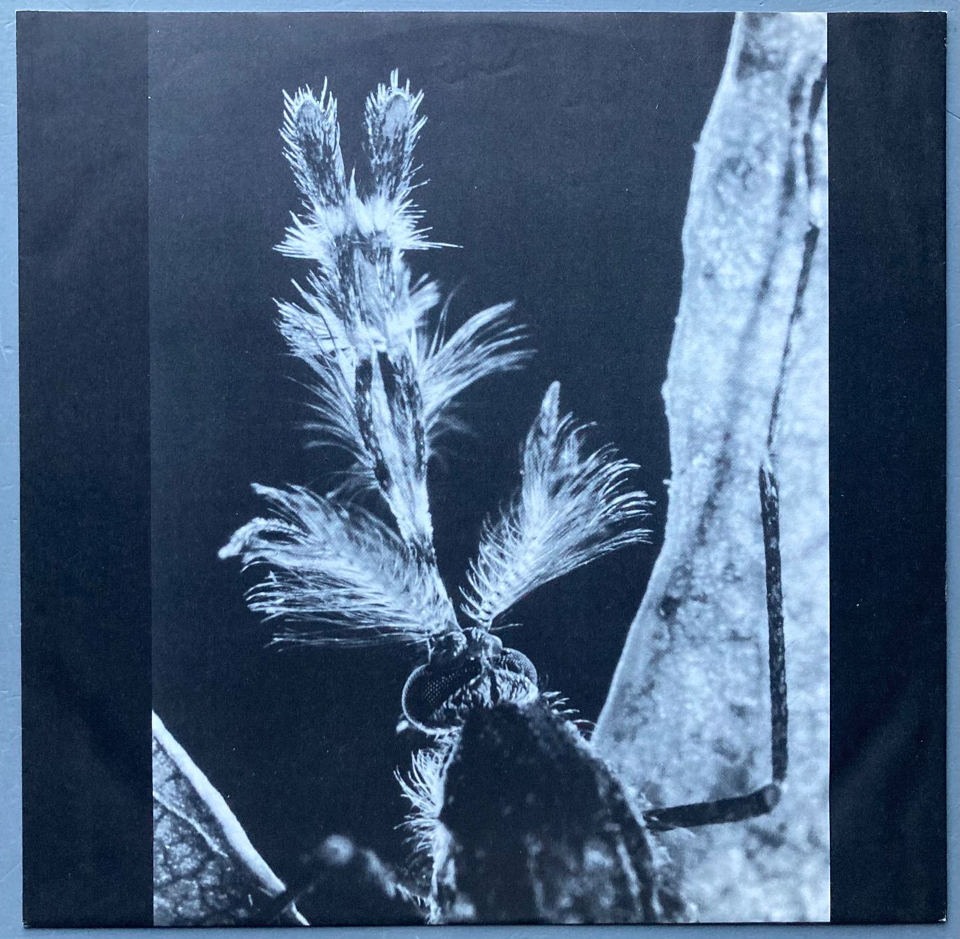 Dischi in vinile: STAN RIDGWAY - MOSQUITOS – Usato da Poliez-Pittet venduto da Newtown-Records 2