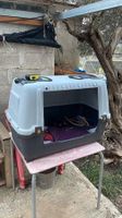 AniOne Kofferraumbox M