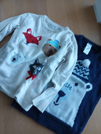 Pullover 110/116 2 Stk.