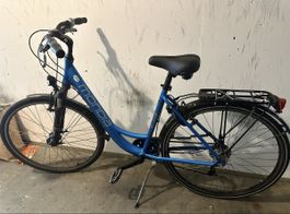 Mondia Velo