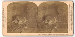 Stereo-Fotografie Littleton View Co., Li