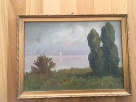 Bild See/Landschaft