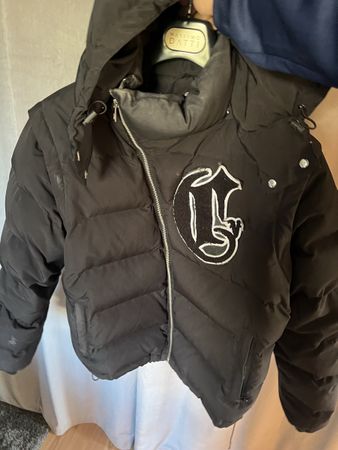 Veste Corvidae