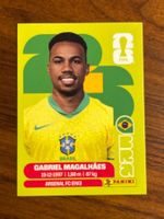 BRA 6 Panini WM26