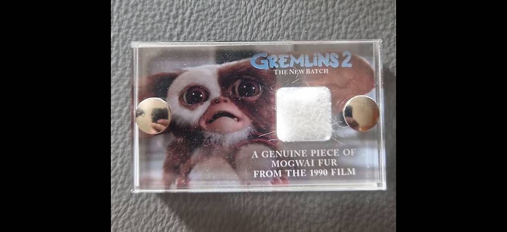 Spiele: Gremlins 2 – Gebraucht aus Sembrancher von did_mkx2