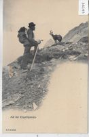 Auf der Engstligenalp - Bergsteiger mit Gams