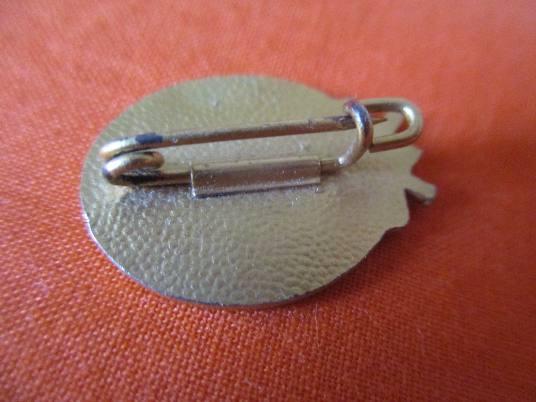 Plaquettes & Badges: Abzeichen SAC – D'occasion à Birsfelden par alles-muss-raus 1