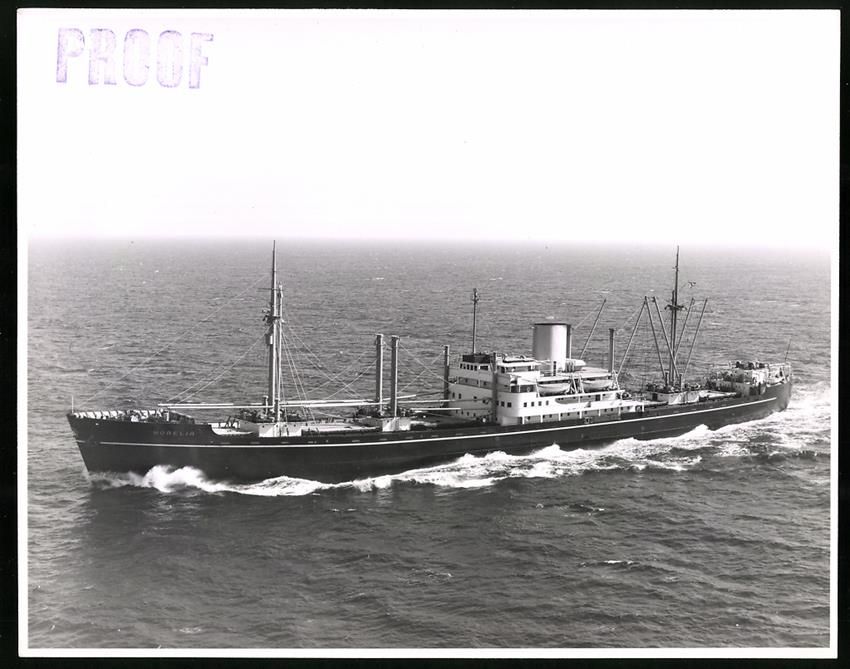Fotografie &  Plakate: Fotografie Frachtschiff / Frachter Morel – Gebraucht aus Berlin von bartko-reher