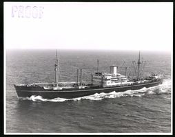 Fotografie Frachtschiff / Frachter Morel