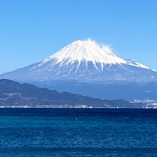 Profile image of Shizuoka