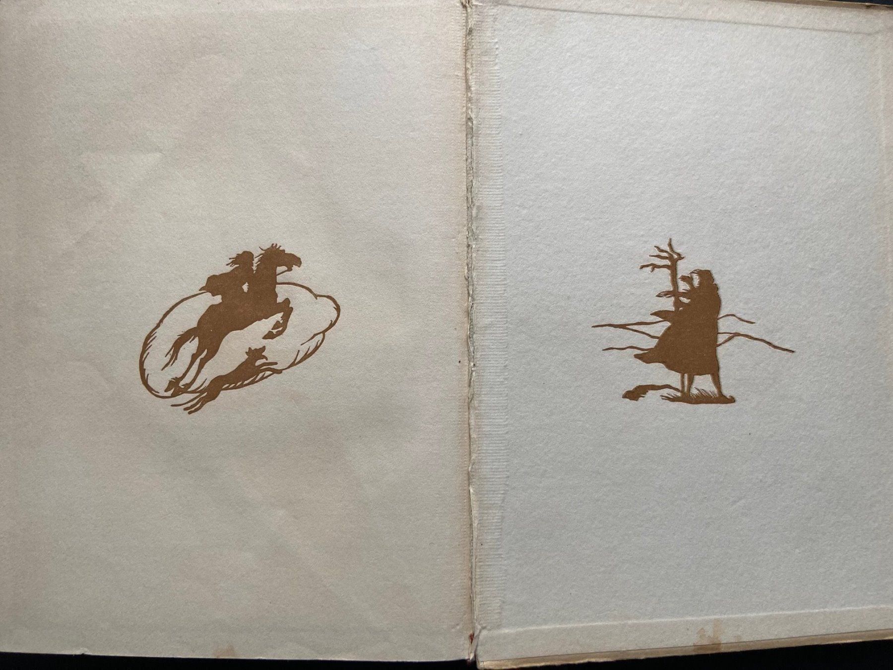 Libri: Antikes Märchenbuch "Rübezahl" – Usato da Unterengstringen venduto da Lastchance 3