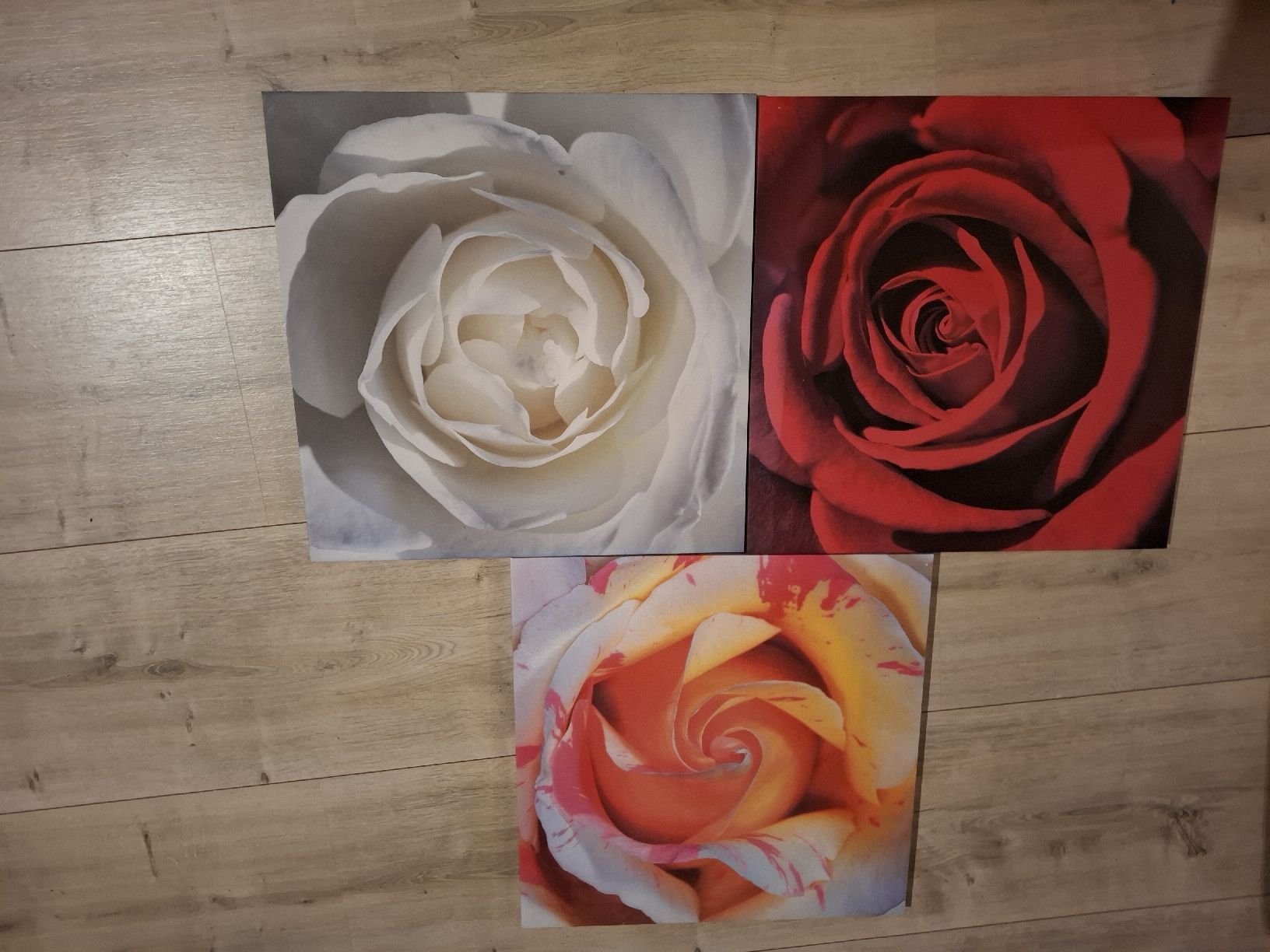 Poster & Bilder: Wandbilder Rosen 3er Set Blumen Deko  – Gebraucht aus Bowil von Yfazer