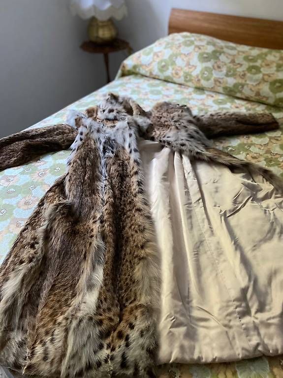 Giacche: Chat Lince fourrure  – Usato da Meyrin venduto da docmac 2