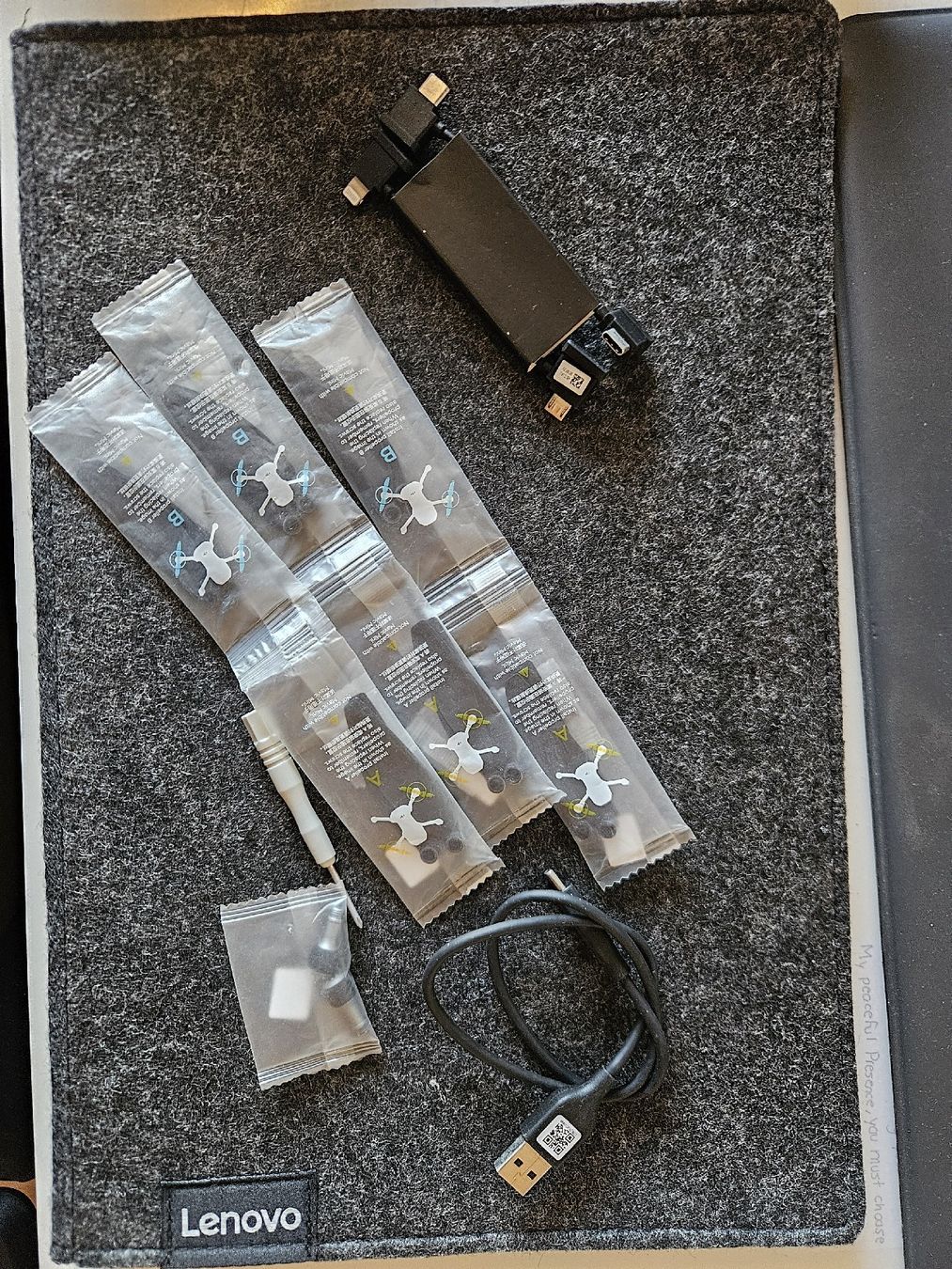 DJI Videocamere: DJI MINI 2 Drohne ultra light 249g – Usato da Thun venduto da Laaaaaaaaaaaaaaars 3