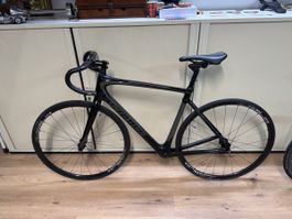 Bici da corsa Specialized Roubaix taglia 56 carbonio