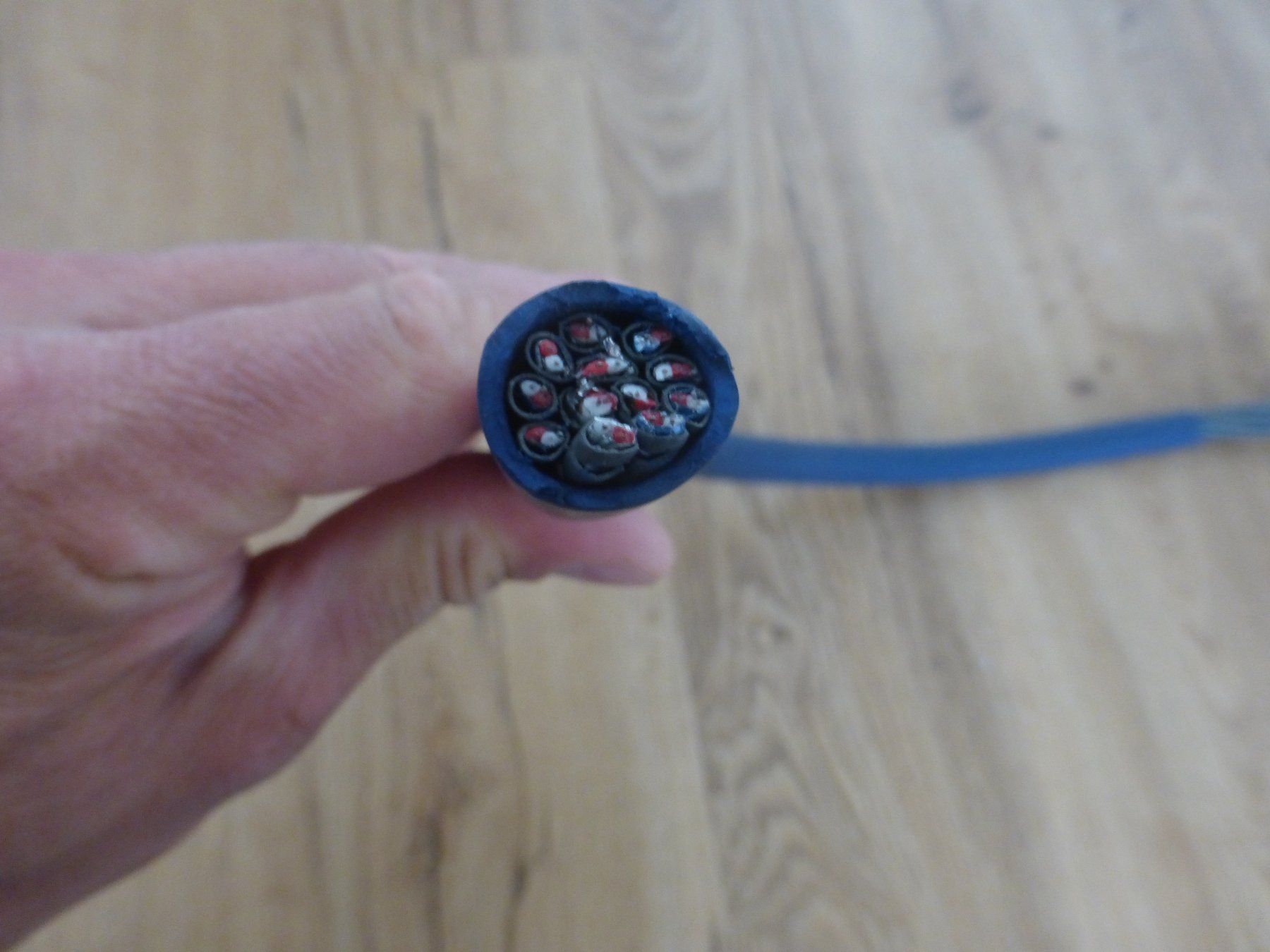 Kabel: Audio Kabel Snake Multicore Gotham 70cm – Gebraucht aus Zumikon von psisound 2