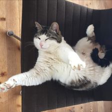 Profile image of mrjinx
