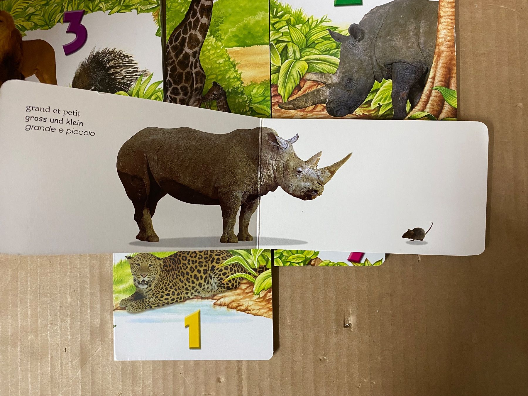Bücher: Zoo Bücher (vergleiche) – Gebraucht aus Eschlikon TG von ArtRec 4