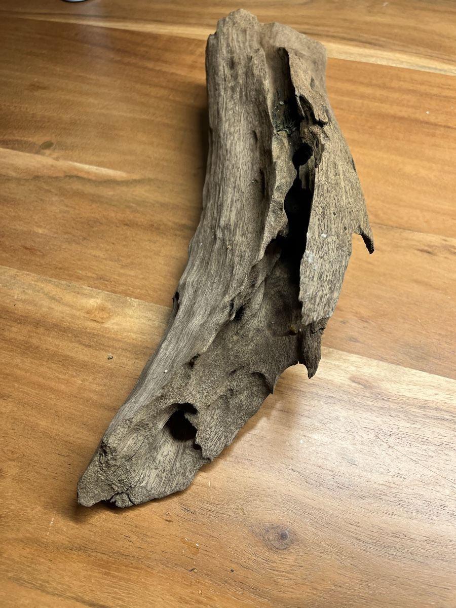 Tutte le decorazioni: Mangrovenholz 30cm - Aquariumdeko – Usato da Wauwil venduto da tna