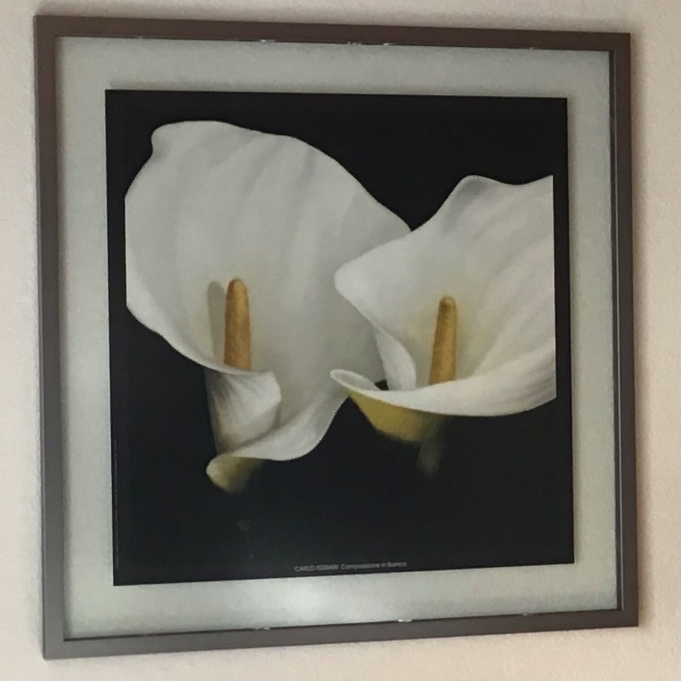 Poster & Bilder: Bild mit Calla Blumen – Neu (gemäss Beschreibung) aus Niederuzwil von Mala