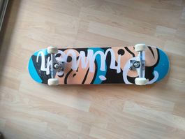 Skateboard advanced set new