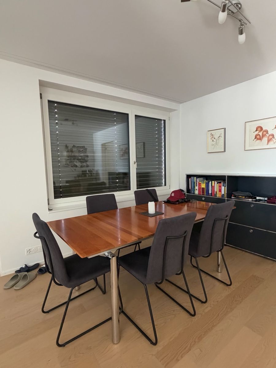 Sedie: 5 Modern Dining Chairs, 5 moderne Esszimmer Stühle – Usato da Zürich venduto da stu_8vm8 1