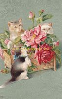 Kleine Katzen mit Rosen (Prägedruck) /bh