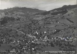 F  3966   Flugaufnahme  GAMS  (st.G.)  Im  Rheintal
