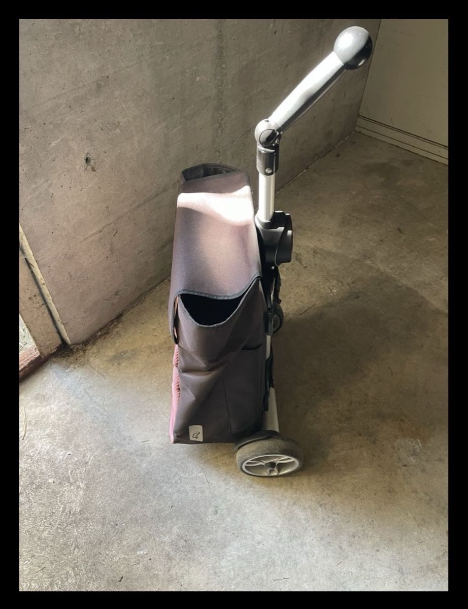 Autres articles pour la maison: Einkaufstrolley mit Tasche   – D'occasion à Mellingen par DAMI7682 2