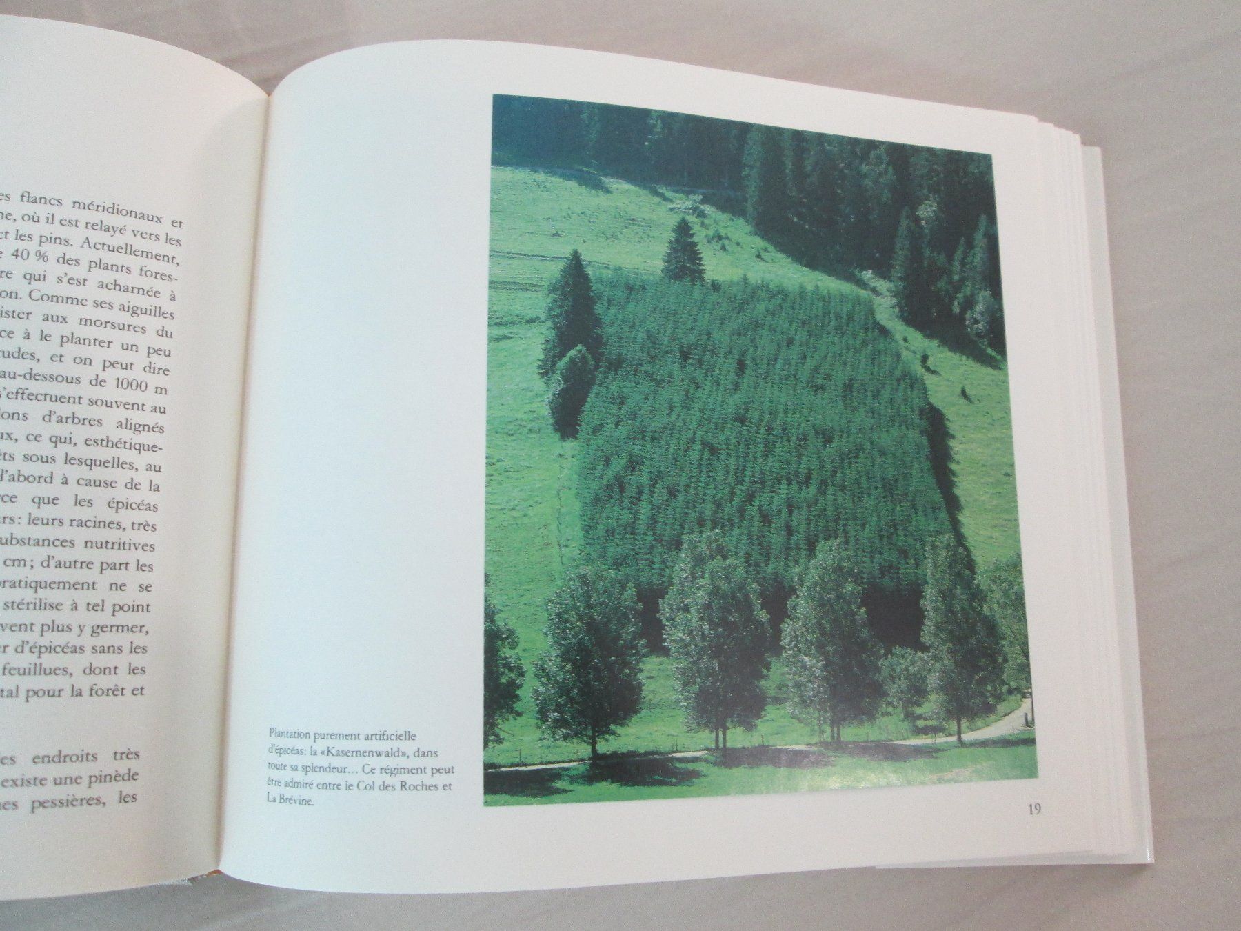 Libri: La forêt neuchâteloise – Usato da Neuchâtel venduto da Dualseele 5