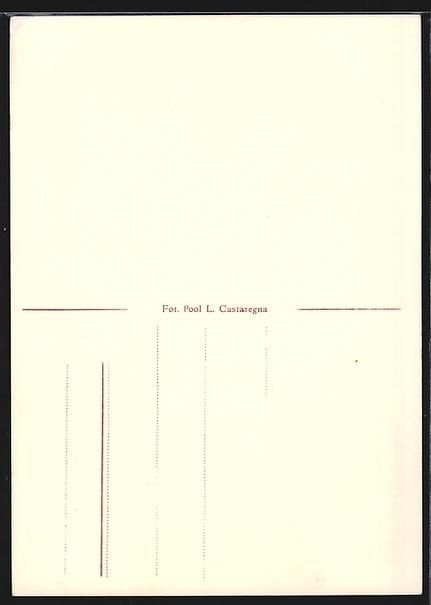 Cartes postales: Castasegna, Panorama mit Bondasca und Al – D'occasion à Berlin par bartko-reher 1