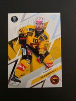 2025/26 SCB Bern Tristan Scherwey Playoffs