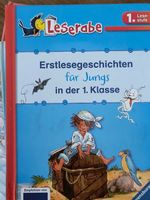 Leserabe Erstlesegeschichten für Jungs, 1. Klasse Top!