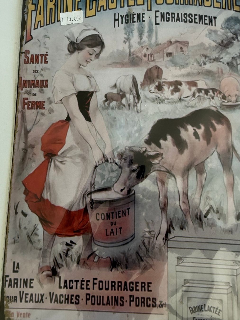Insegne: Neu Schild 20 x 30 cm – Nuovo e nell'imballaggio originale da Kirchdorf AG venduto da coco123