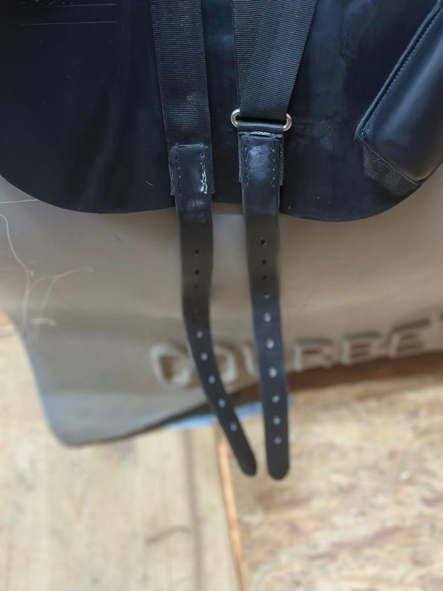 Selles, accessoires: Bruno Delgrande Springsattel – D'occasion à Egg- Flawil par Jafiwi 5