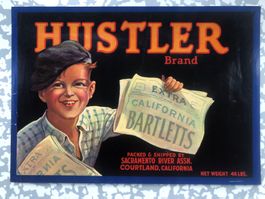 Vintage Früchten Kisten Hustler Poster Bilder California1930