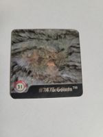 Pokemon Series One / Series 1 Wackelbild Artbox Nr 31