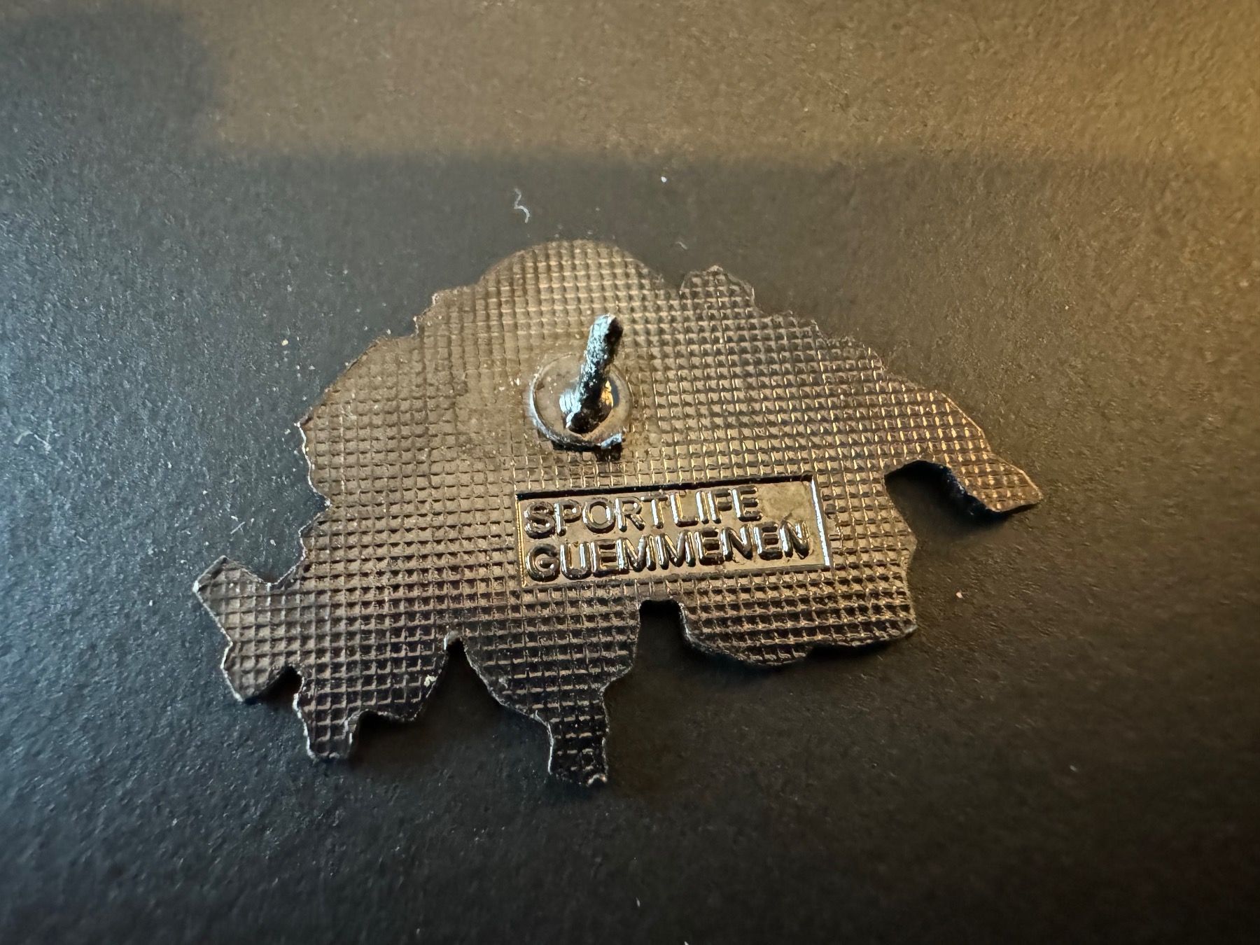 Placchette & Badge: Pin Schweiz Armee Adler Umriss – Usato da Galgenen venduto da rub_f6kh 1