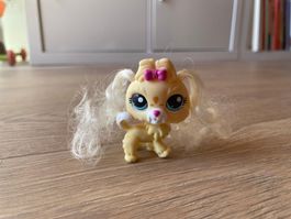 Petshop Chien Maltese jaune numérite 2638
