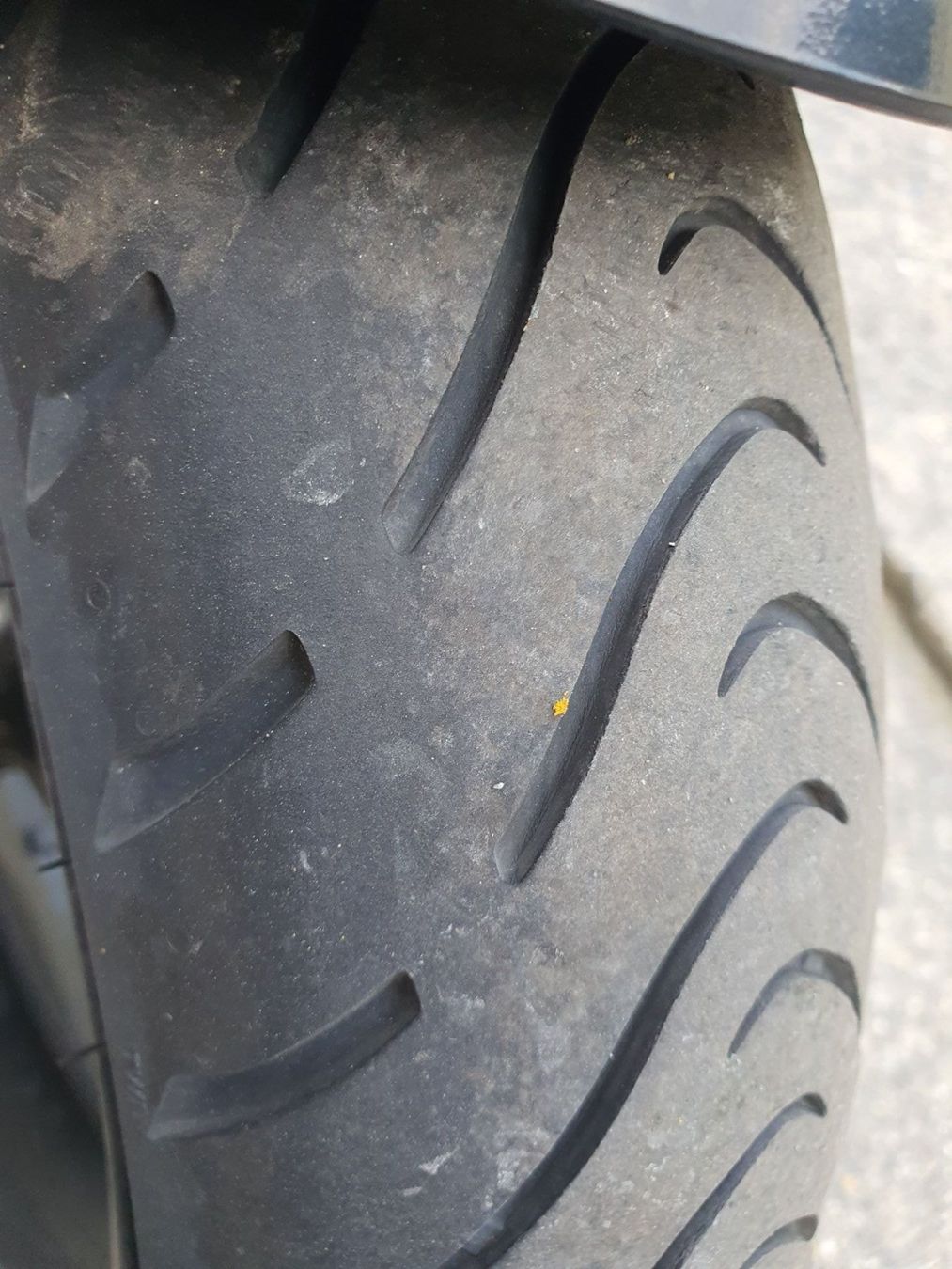 Suzuki Strada: Suzuki Gsf 1200 S – Usato da Erstfeld venduto da Gina033 6
