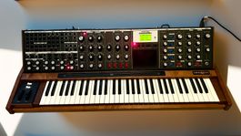Moog Minimoog Voyager XL – Sammlerzustand – Neuwertig