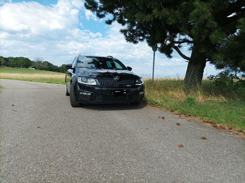 Skoda Octavia VRS 2.0 Benzin