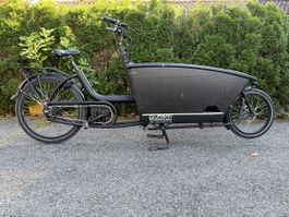 Urban Arrow Family Bosch Cargo Bike