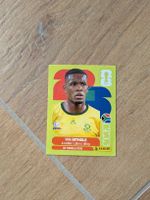 Panini Bild RSA 15